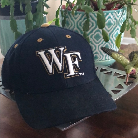 Other - Wake Forest Ball Cap.